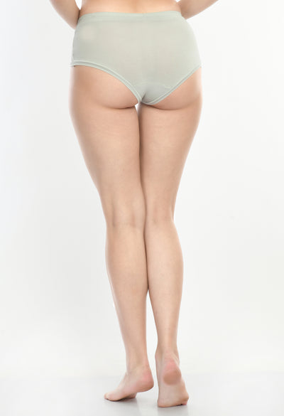 Siro Micro Modal Glacier Grey High Waist Soft Hipster
